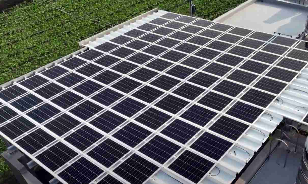 欧陆注册SunSteel光电浪板升级双玻结构，，，以提升机械负载强度及气候耐候度，，可广泛运用于多元场域